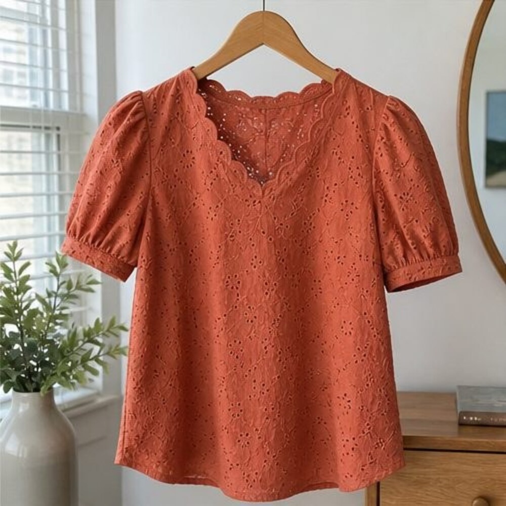 Blush V Neck Top